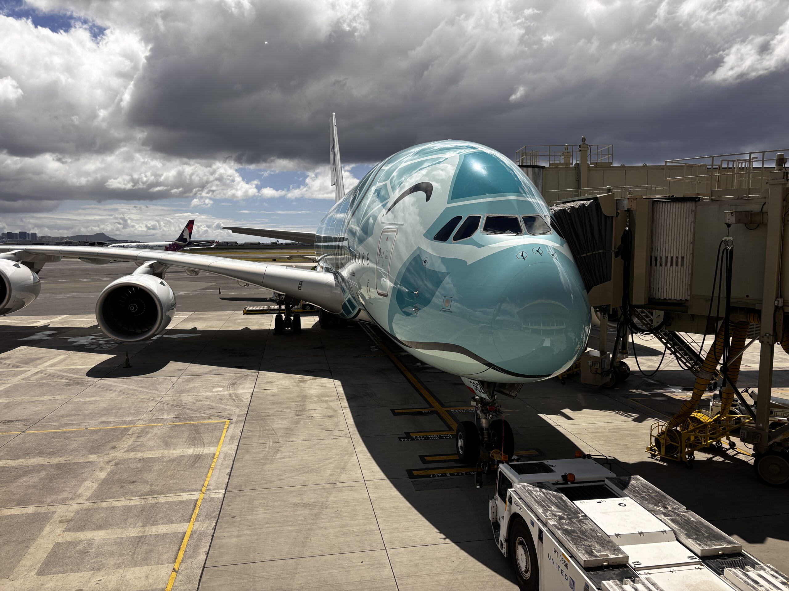 ANA フライングホヌ格安 | Kona Bay Hawaii