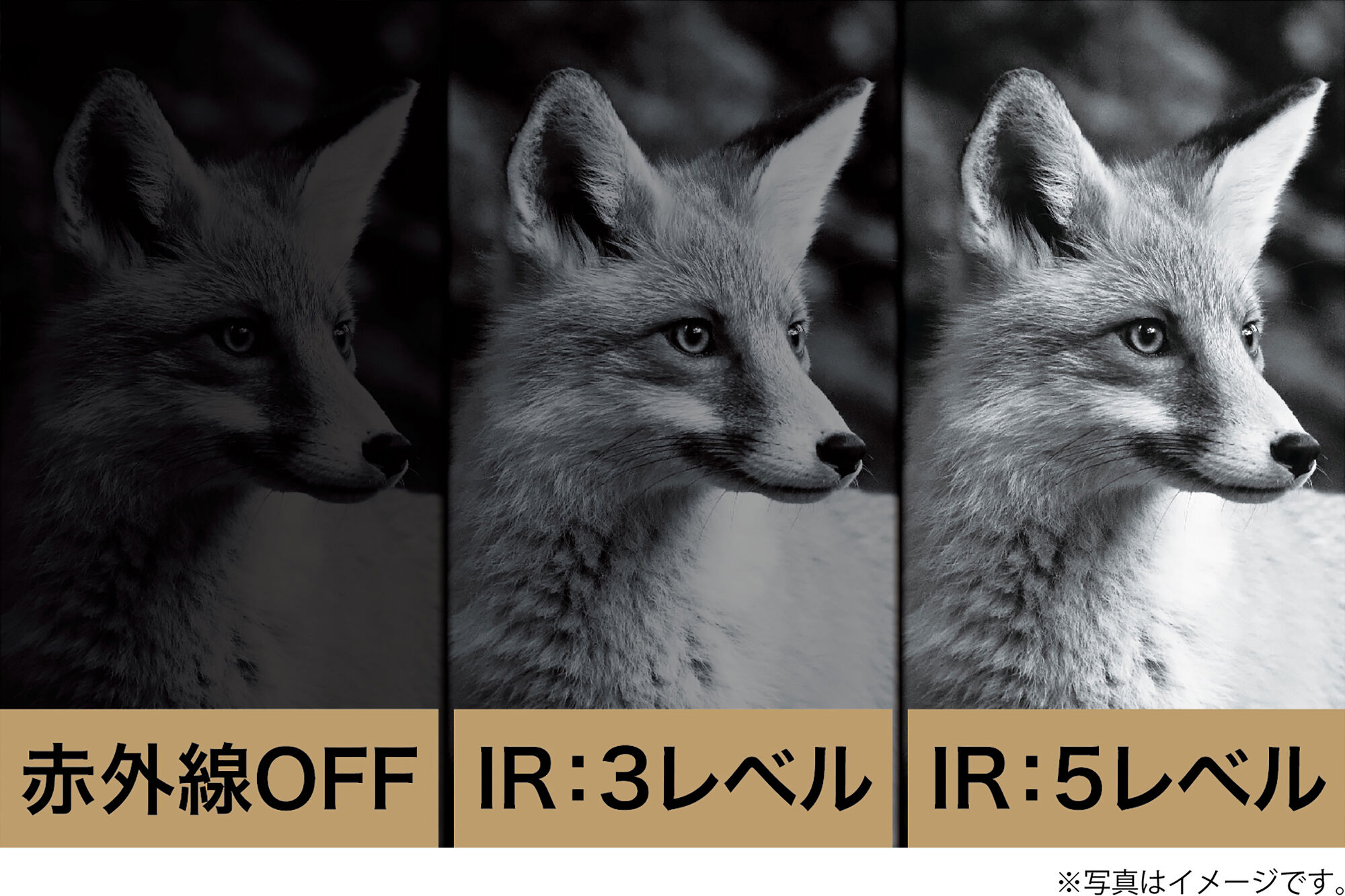 IRナイトレコーダー KC-NS07V | ケンコー・トキナー