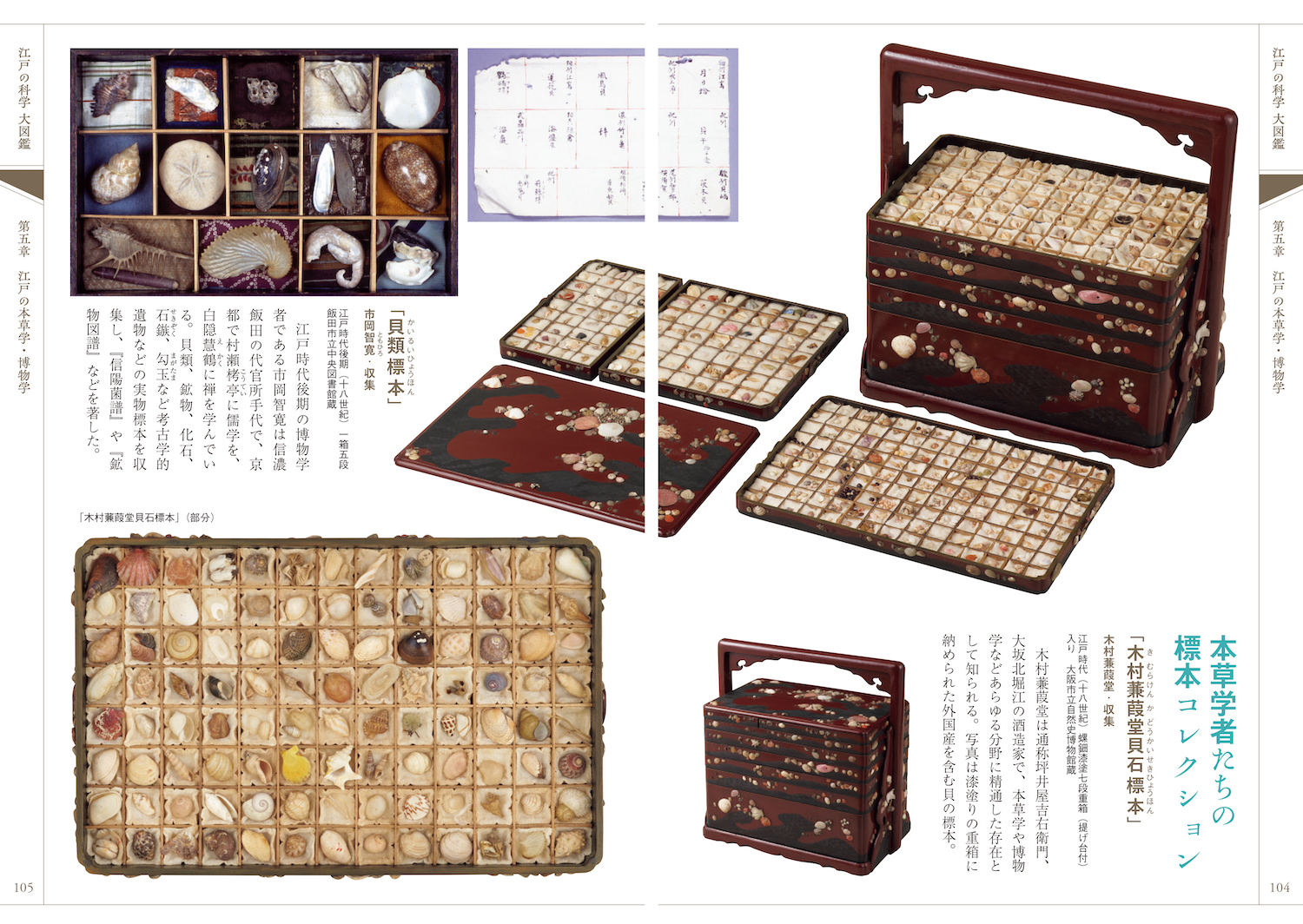 江戸の科学大図鑑 コンパクト版 :太田 浩司,勝盛 典子,酒井 シヅ,鈴木