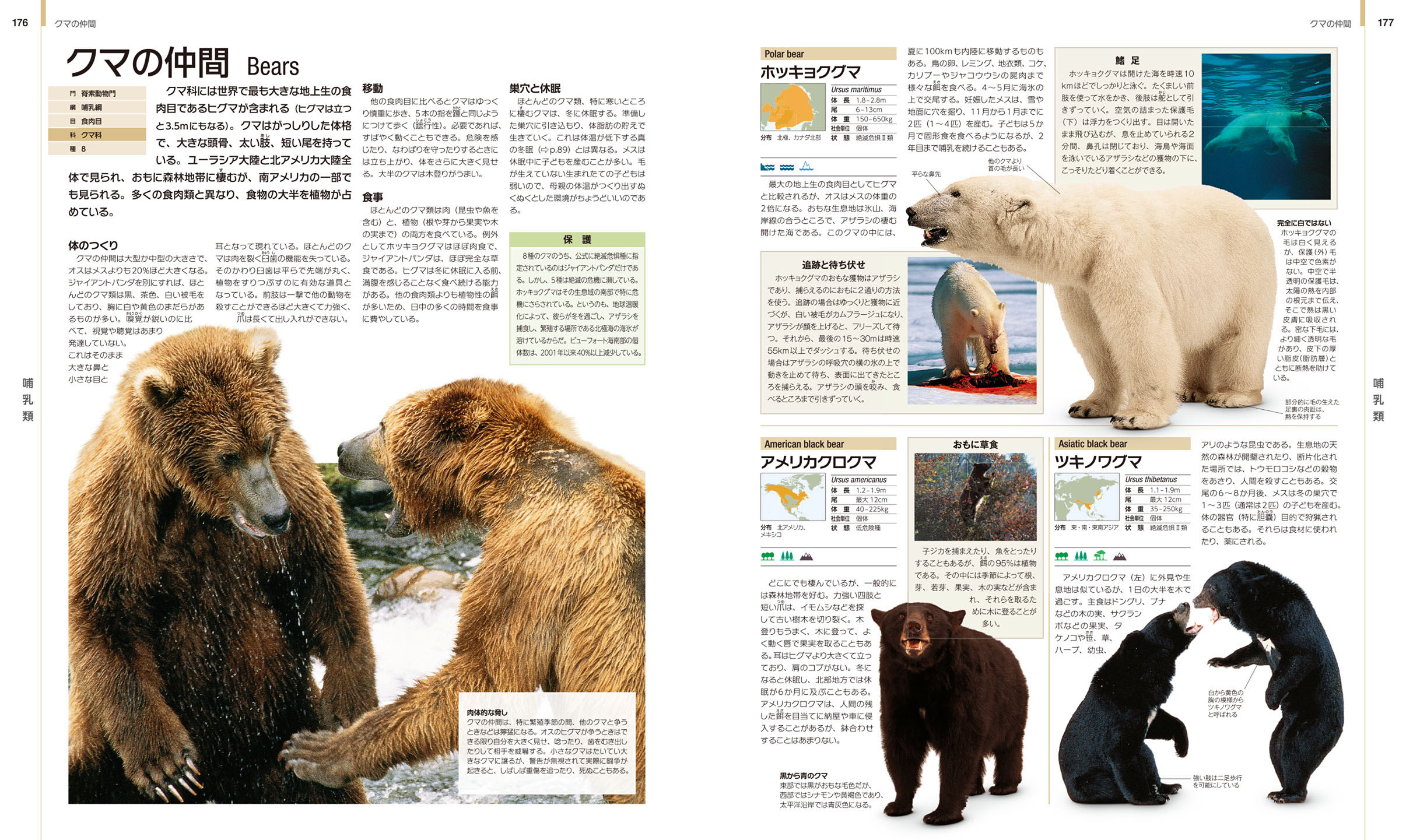 世界の動物 大図鑑【コンパクト版】 :デイヴィッド・バーニー | 河出