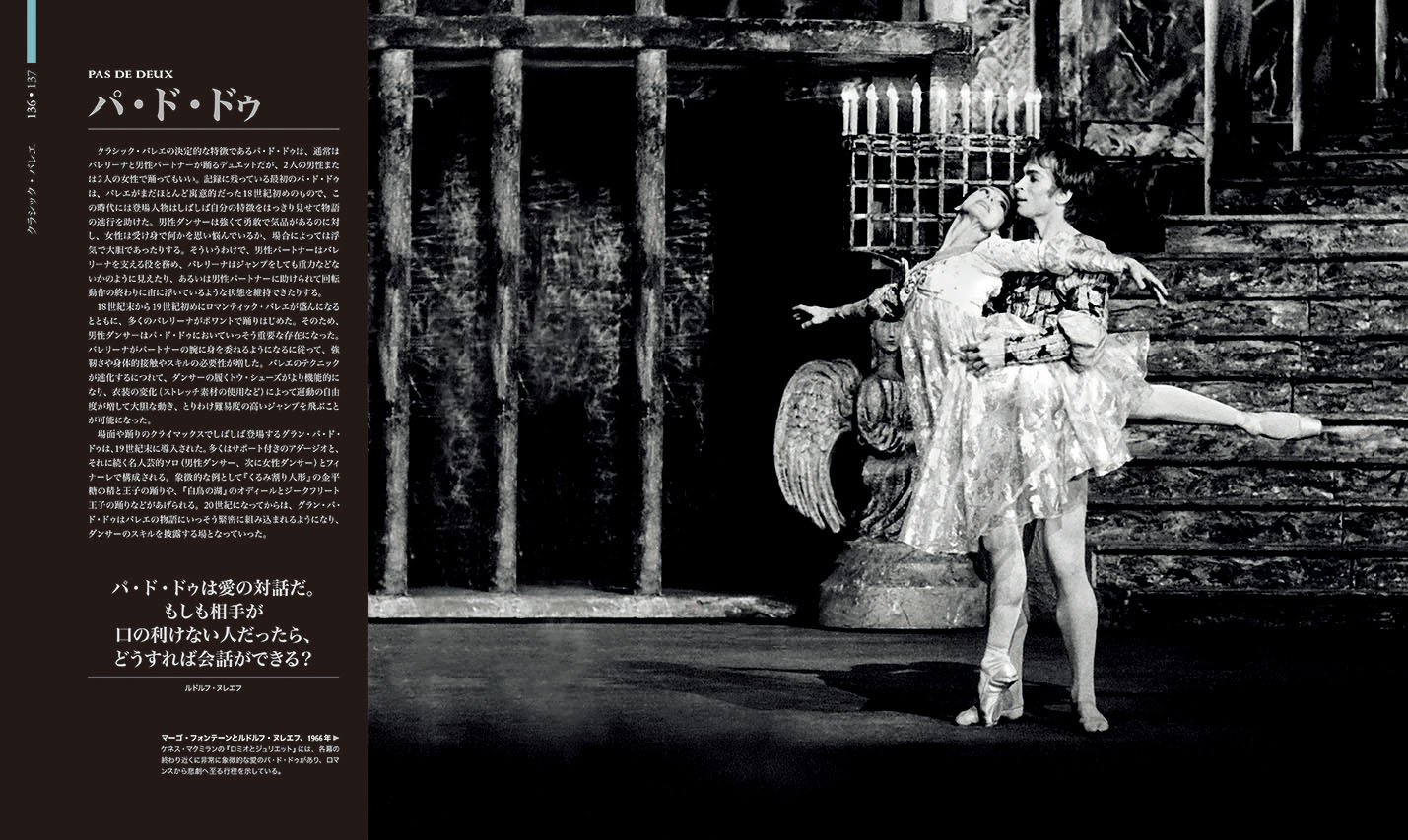 バレエ大図鑑 :ヴィヴィアナ・デュランテ,森 菜穂美 | 河出書房新社