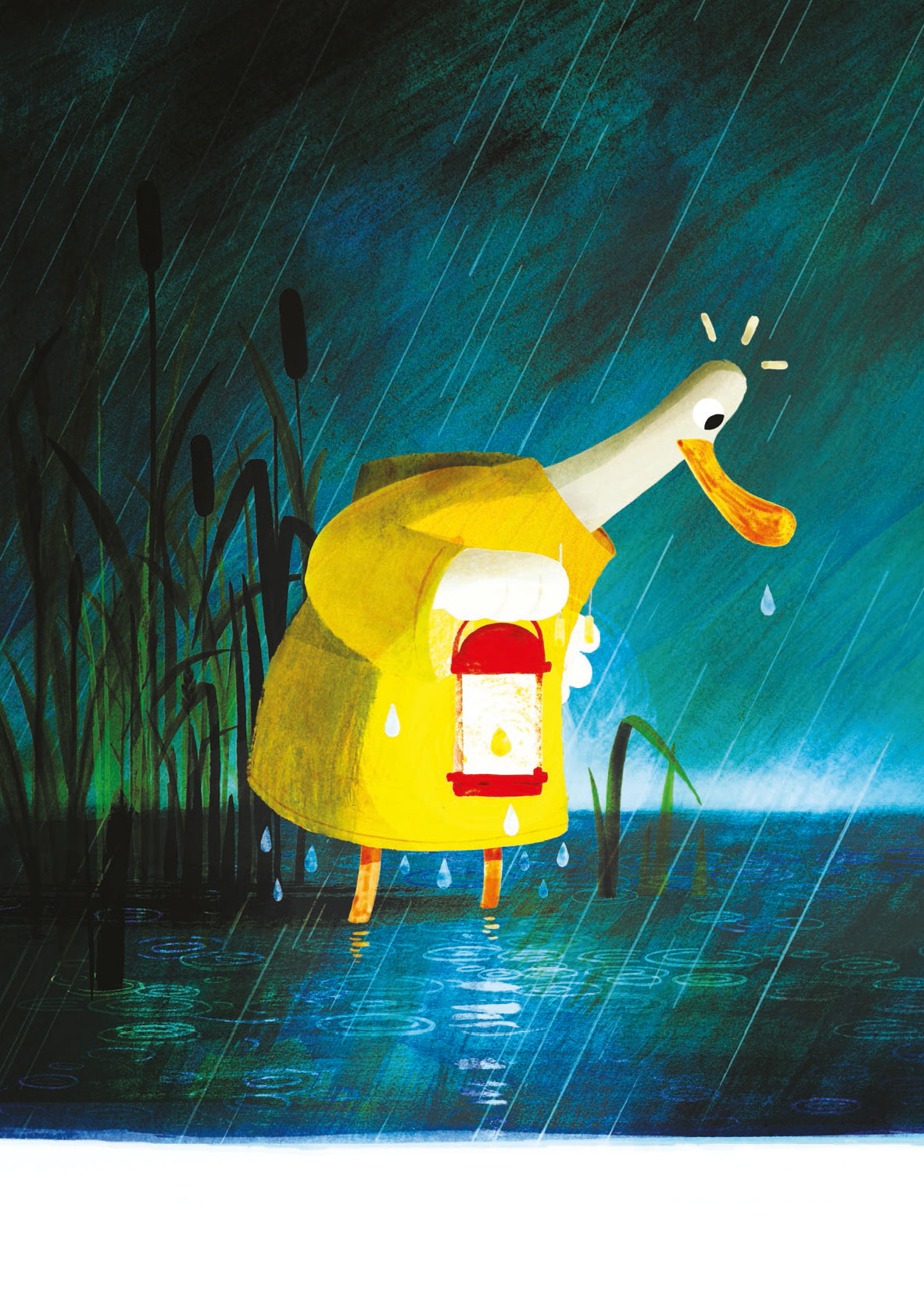 水がすきじゃなかったアヒル - 株式会社 化学同人