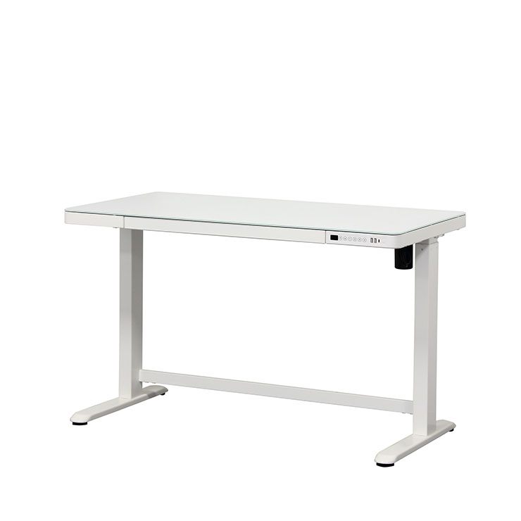 電動昇降デスク 120x60cm 2色対応の通販情報 - 家具通販のわくわく