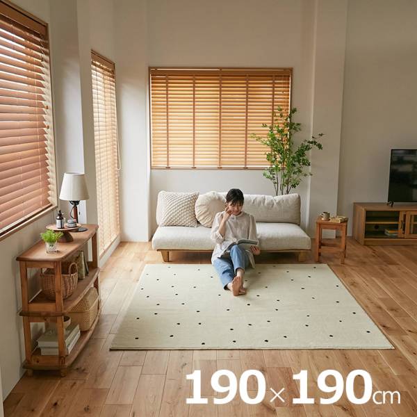 国産 ラグ 洗える 190x190cm ドット柄 ポッシュ ホットカーペット 床