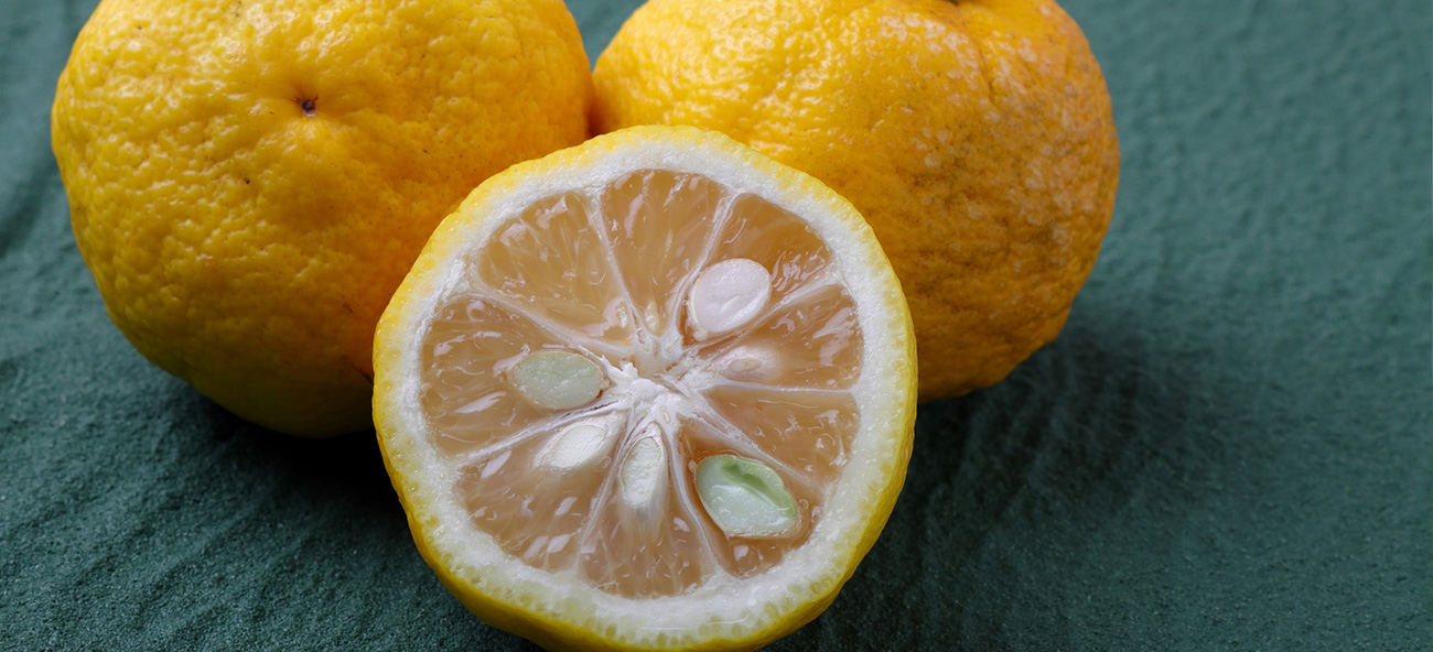 RIKA YUZU（リカ ユズ） 500ml | 一宮酒造