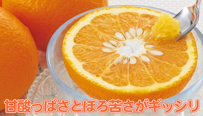 甘夏 | みかん大事典 | みかんのことなら「のま果樹園」 [ Produced by