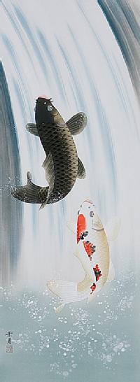 夫婦滝登り鯉 佐藤景月 尺五立 肉筆！ 大特価商品 - 掛け軸（掛軸