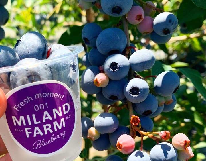 MILAND FARM｜観光スポット｜岐阜県観光公式サイト 「岐阜の旅ガイド」