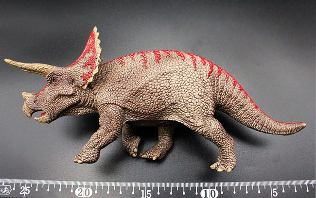 本物化石1個付き！トリケラトプス恐竜フィギュア 教育用グッズ 販売