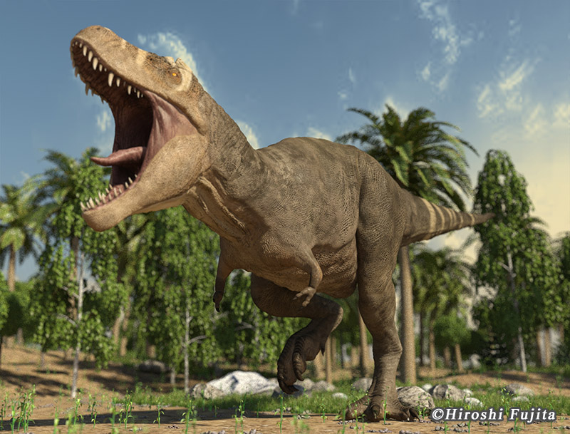 ティラノサウルス、化石の通販・販売｜厳選した本物のティラノサウルス