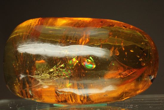 超レアと思われる虫が包まれた！！ドミニカ産大きな虫入り琥珀（Amber