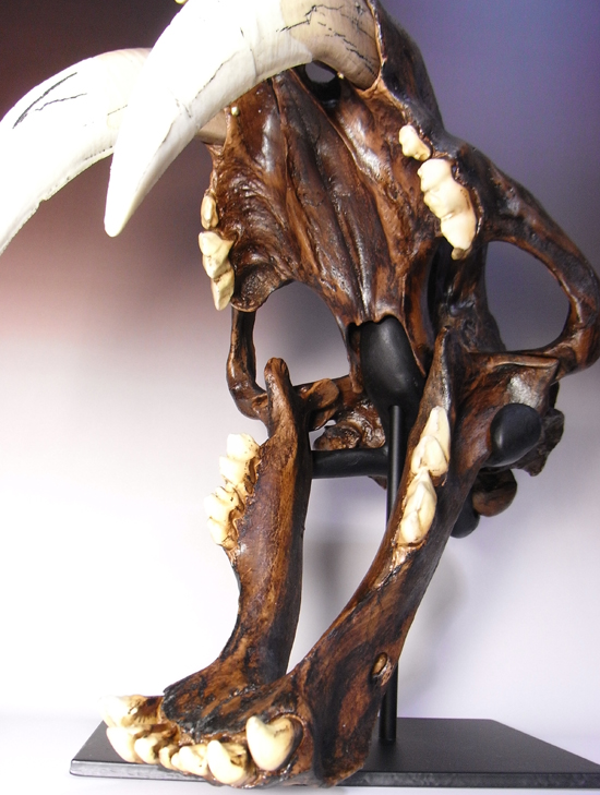 恐竜没後の百獣の王：サーベルタイガーのレプリカ（アンティーク