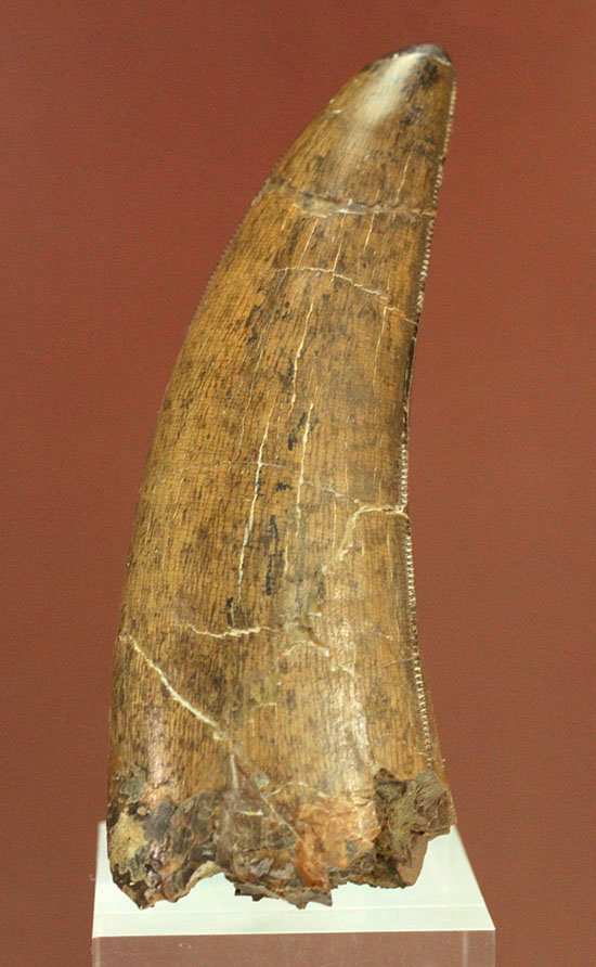 末永く宝物として大切にしていただける方に贈る。驚嘆のフォルムを持つ