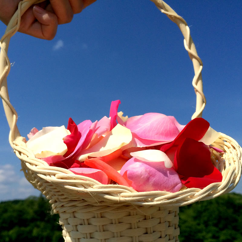 フラワーシャワー 生花｜結婚式・ブライダル・ウェディング｜熊谷園芸