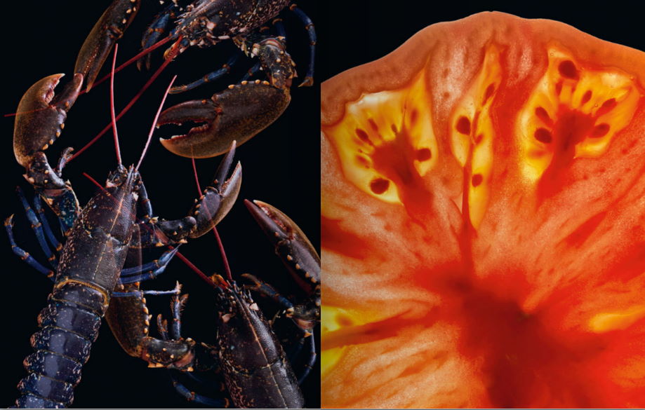 Buy Kei III by Kei Kobayashi – Kitchen Arts & Letters