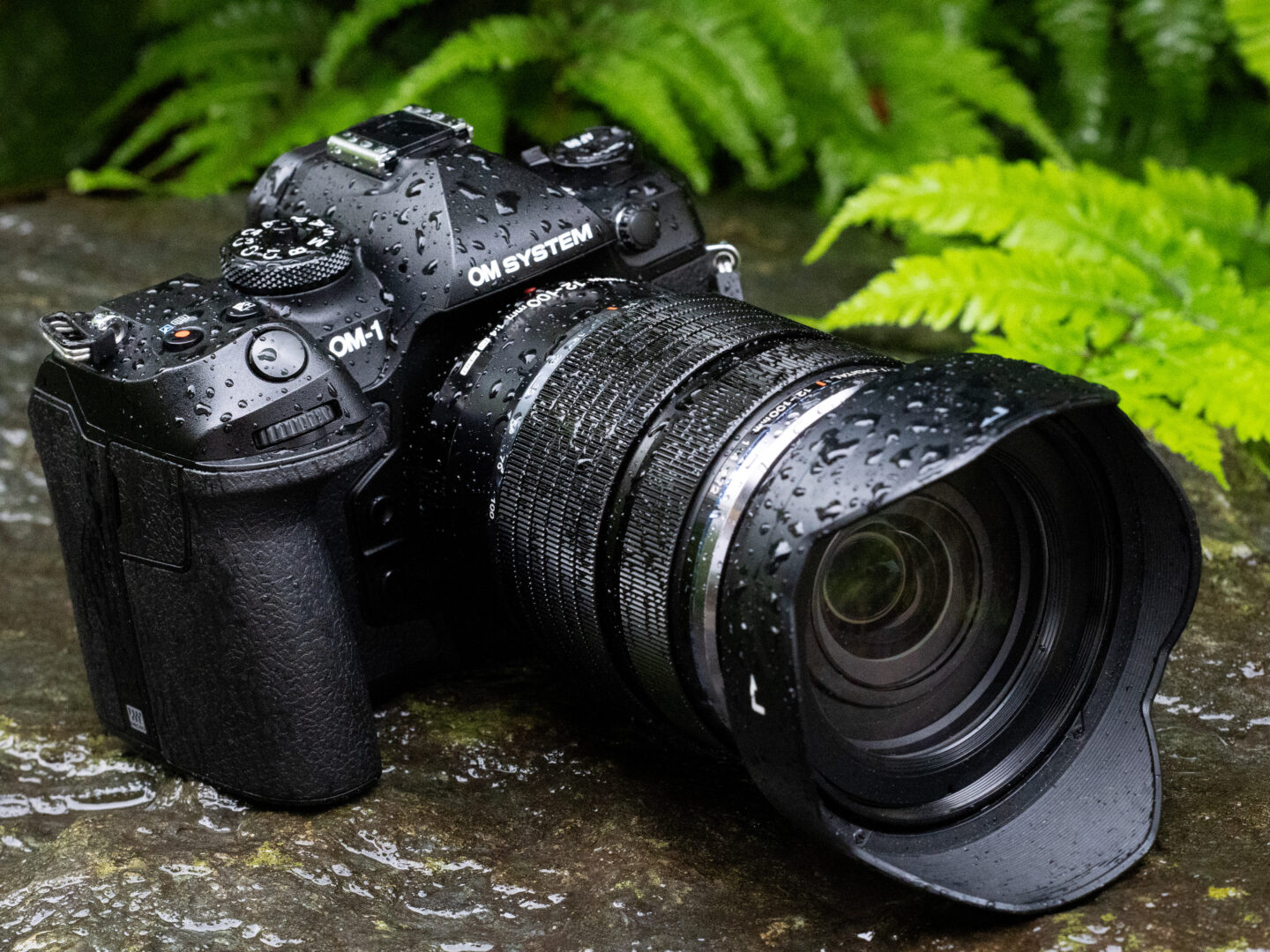 絶対的な信頼性と先進技術を兼ね備えた職人気質の二代目カメラ OM