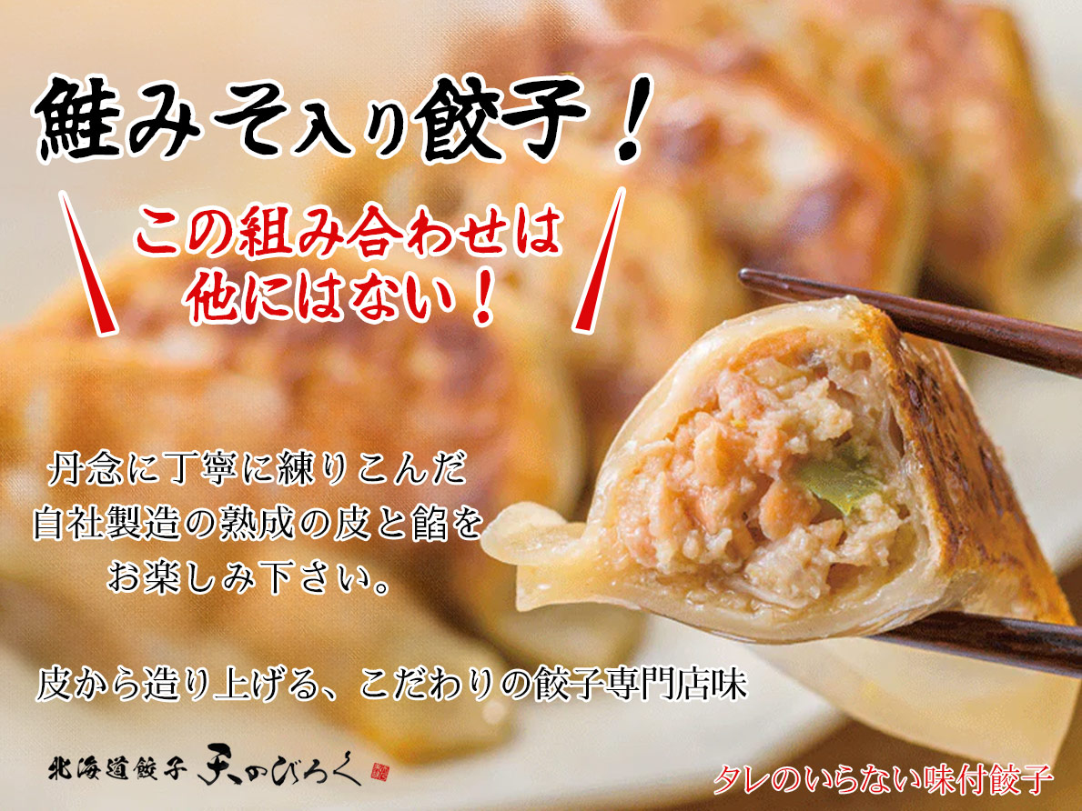 天のびろく鮭みそ餃子12個【千歳 北海道ニッツウサービス】 - 北海道