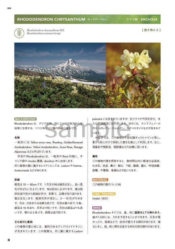 新・臨床家のためのホメオパシー マテリアメディカ 上下巻セット