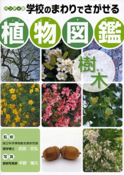 樹木 (ハンディ版 学校のまわりでさがせる植物図鑑) ：近田文弘／平野