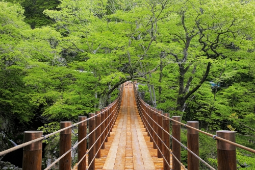 茨城県の選定景 【1】 土岳 | 地域づくり | 国土交通省 関東地方整備局