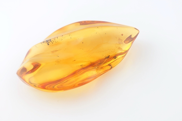 虫入琥珀原石 - 久慈琥珀オンラインショップ