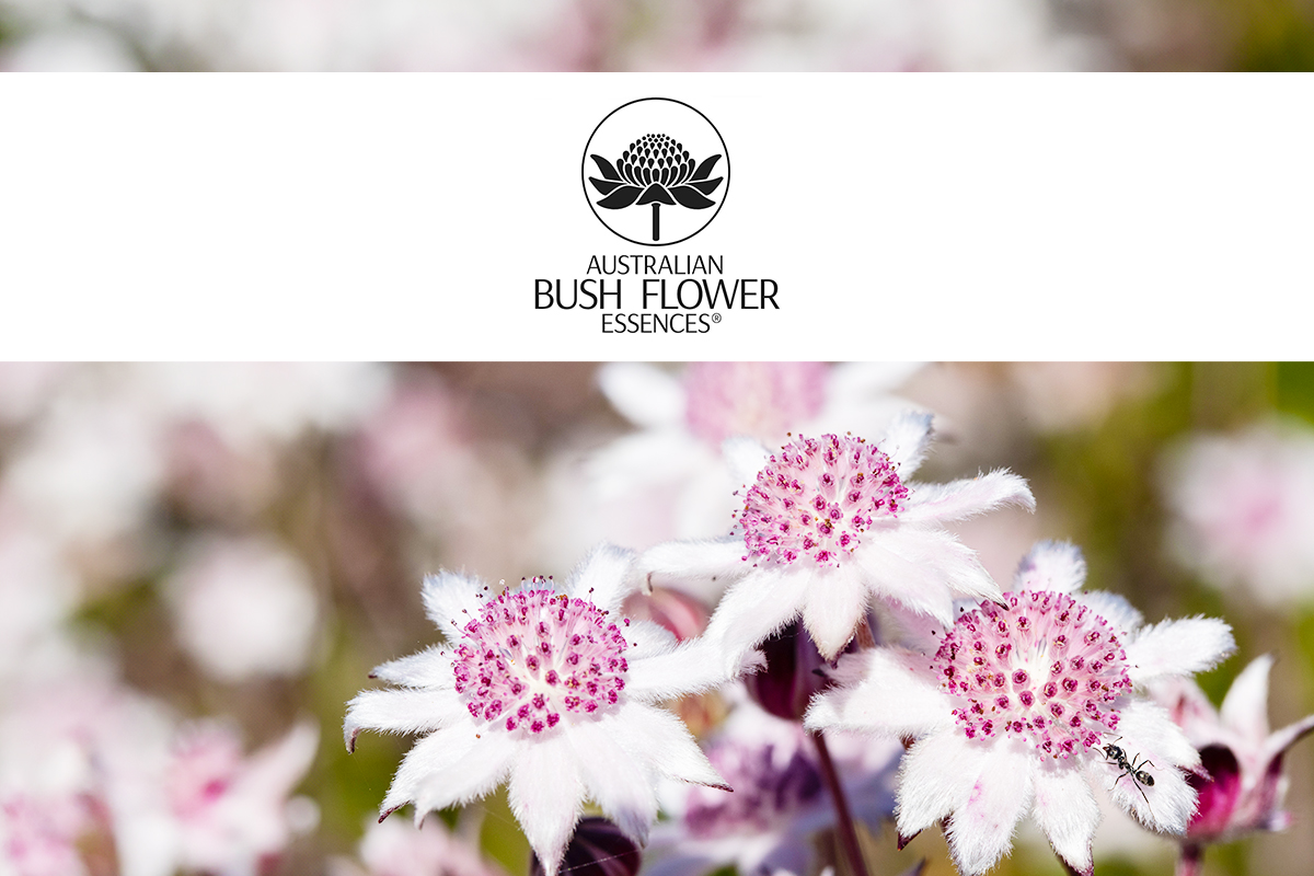 40代・50代女性や不安や動悸にエマージェンシースプレー更年期世代を