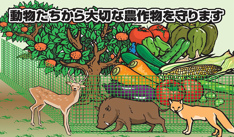 防獣ネットと防獣杭セット（パッカー・Uピン付き）」支柱を立てて