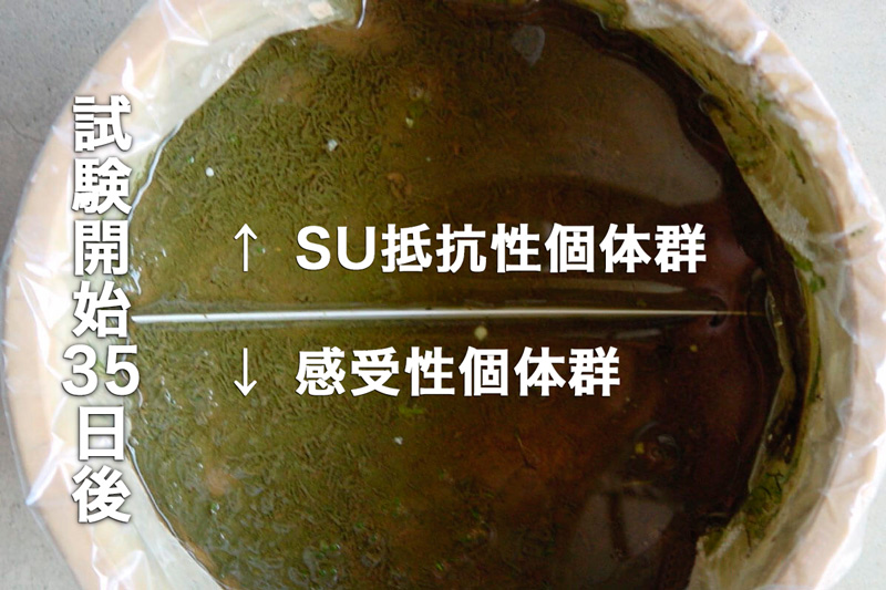 4つの特長 | 協友アグリ