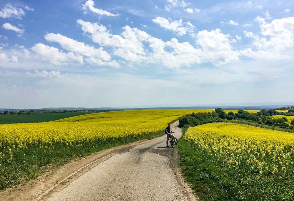 モラヴィア大草原」への行き方（自転車・レンタサイクル編） | How to