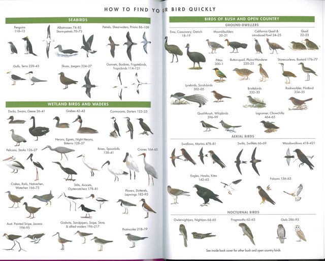 THE FIELD GUIDE TO THE BIRDS OF AUSTRALIA Hobby's World｜野鳥撮影