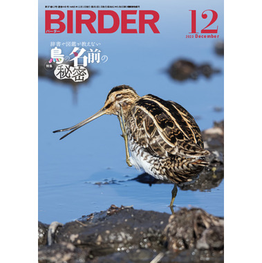 美品【BIRDER 】2023年 BIRDER 2023年 09 月号 [雑誌] |本 | 通販 | Amazon