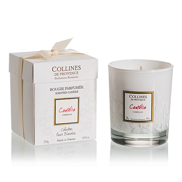 コリンヌ・ド・プロヴァンス/FB センテッドキャンドル カメリア｜自然
