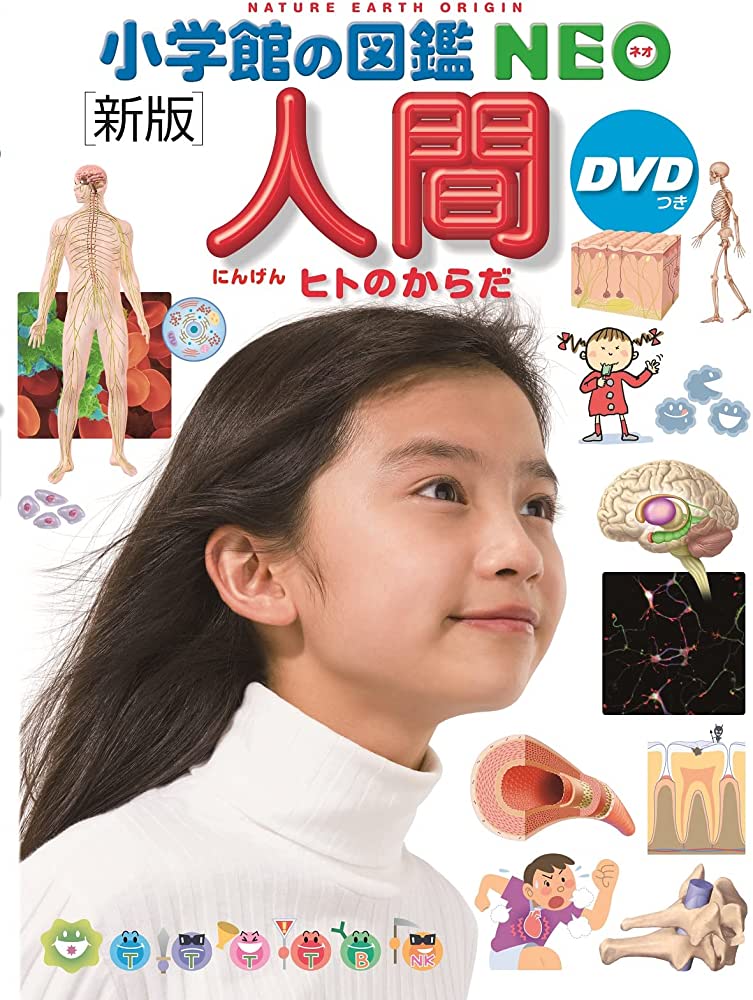 小学館の図鑑NEO［新版］人間』 | 記事・お知らせ | 八文字屋 | いつも
