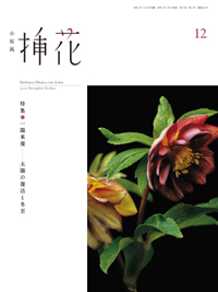 小原流 挿花（月刊誌）2020年12月号 - 花もあ