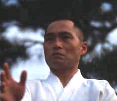 養神館合気道「龍」シリーズ 第二巻（DVD)