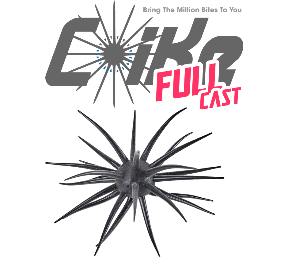 コイケ フルキャスト HIDEUP ハイドアップ