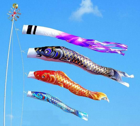 鯉のぼり 大型 金太郎ゴールド鯉セット 5m 6点セット 徳永こいのぼり