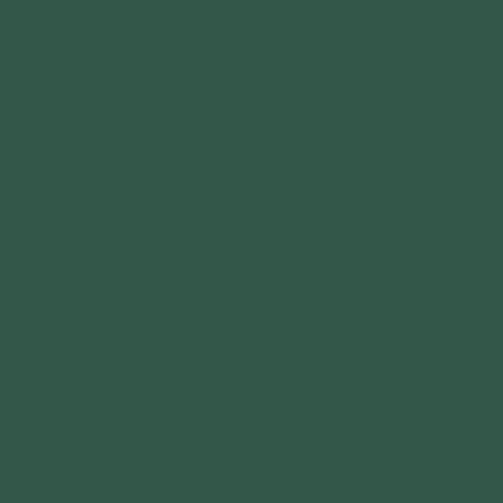 BUY Pantone TPG Sheet 19-5511 Hunter Green