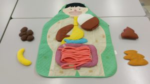 商品情報】「パラビオACセラムサイ（スペシャルプログラム セット