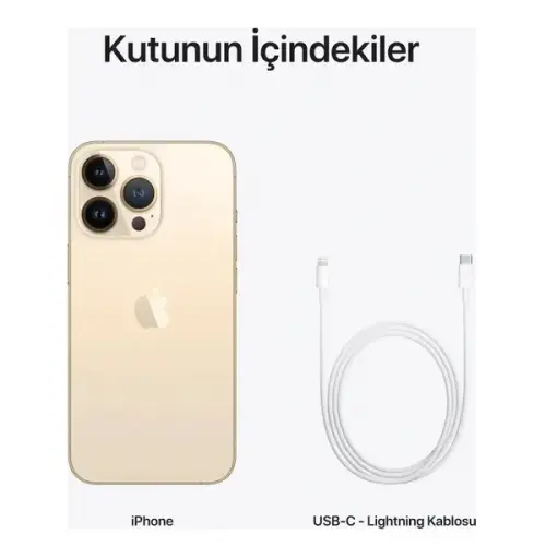 iPhone 13 Pro Max 256GB MLLD3TU/A Altın Cep Telefonu - Apple
