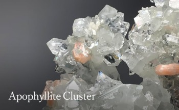 cat_apophylite_cl_482-350x216.jpg