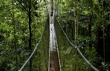 ボルネオ島サラワク州の事ならなんでも | インサー・ツアーズ＆トラベル