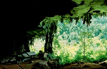ボルネオ島サラワク州の事ならなんでも | インサー・ツアーズ＆トラベル