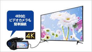 EX-LD4K432DB | 4K対応＆広視野角ADSパネル採用 43型（可視領域42.5型