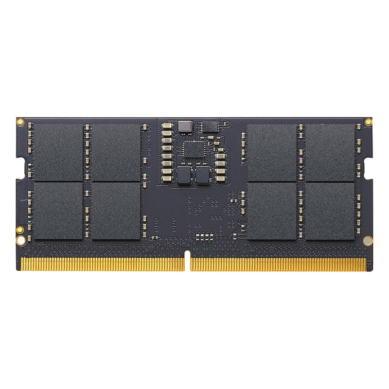 SD5R5600-32G(32GB): メモリ｜ioPLAZA