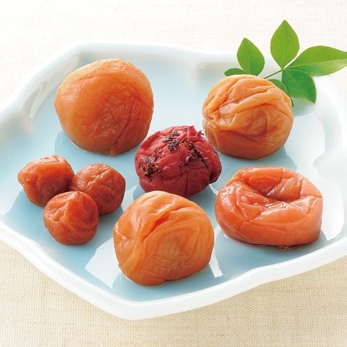 梅お試しセット 1箱（6種入）の通販｜静岡茶・日本茶の市川園