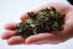 国際中医師試験 試験問題について - 中医学アカデミー