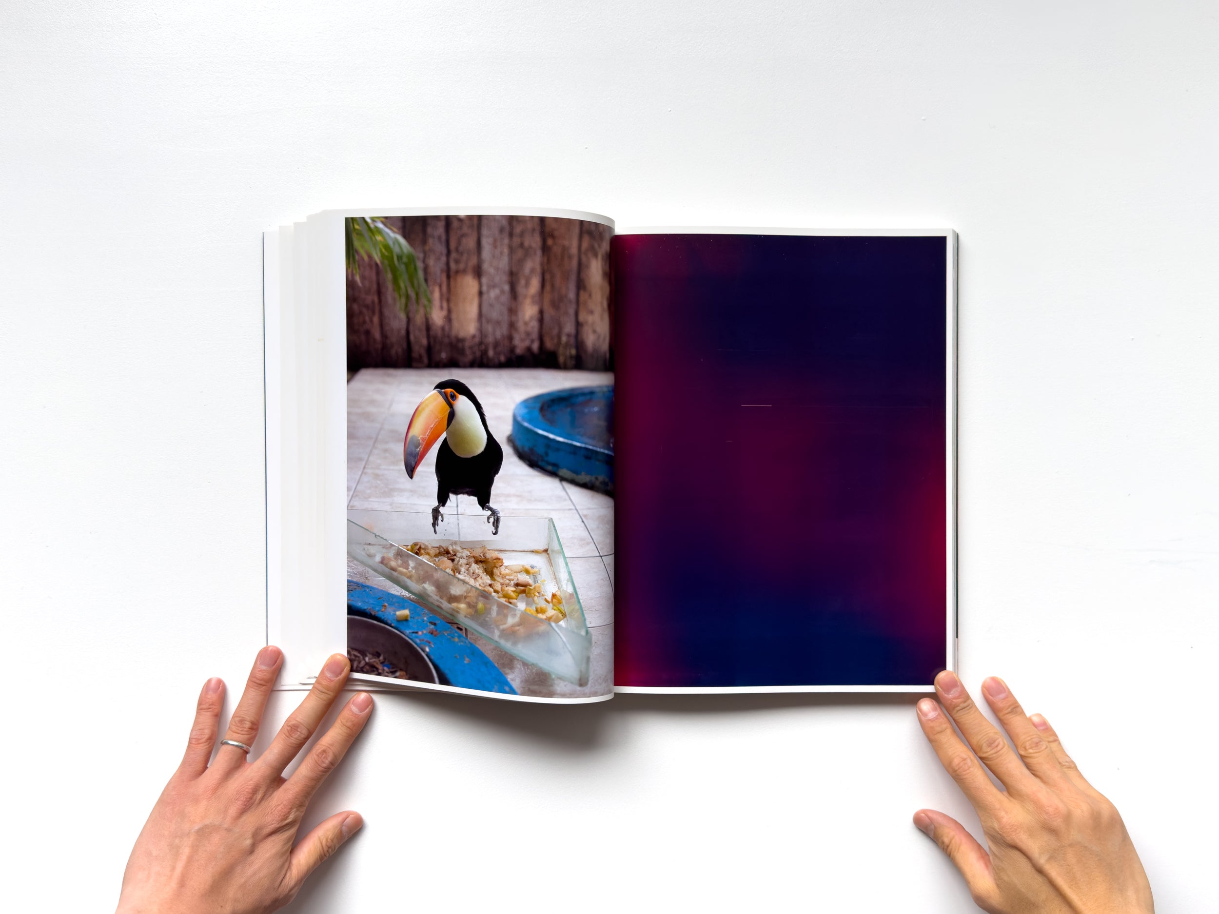 Neue Welt by Wolfgang Tillmans – IACK