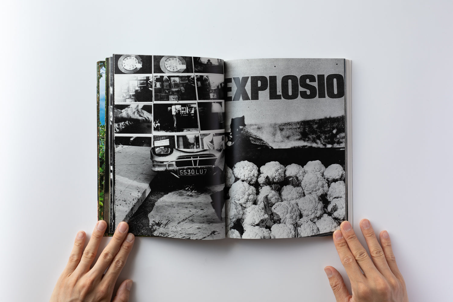 中平卓馬: 原点復帰 — 横浜 – IACK