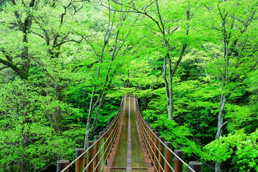 花貫渓谷 | 観光いばらき公式ホームページ